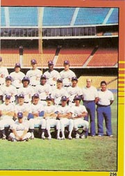 1982 Topps Baseball Stickers     256     Dodgers Team#{World Champions#{(Right half photo)